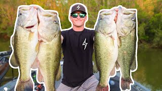 RECORD DAY OF BASS FISHING UNBELIEVABLE [upl. by Arded]