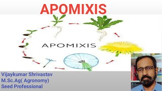 APOMIXIS [upl. by Gabbie]