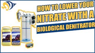 How to Lower Your Nitrate with a Biological Denitrator [upl. by Omiseno509]