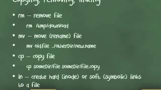 Basic Unix commands [upl. by Ynnahc]