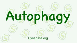 Autophagy definition mechanisms Macroautophagy [upl. by Alletniuq]