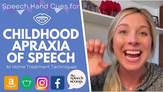 CHILDHOOD APRAXIA OF SPEECH HAND CUES and SPEECH THERAPY ACTIVITIES for At Home The Speech Scoop [upl. by Aliuqet]