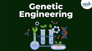 Genes DNA amp chromosomes  Heredity amp Evolution  Biology  Khan Academy [upl. by Islaen]