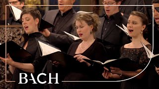 Bach  Motet Singet dem Herrn ein neues Lied BWV 225  MacLeod  Netherlands Bach Society [upl. by Cyn]