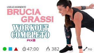 Esercizi Per Dimagrire Senza Salti Cardio Senza Salti A Casa [upl. by Holihs]