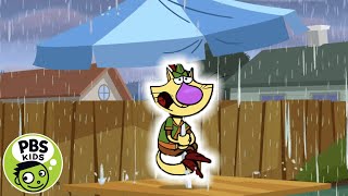 Nature Cat  🙀💧Nature Cat Is Afraid of Water  PBS KIDS [upl. by Moya]