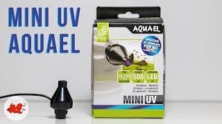 Test Mini UV Aquael [upl. by Llatsyrk579]