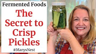 How to Make CRISP Lacto Fermented Pickles  A Probiotic Rich Food [upl. by Ramberg]