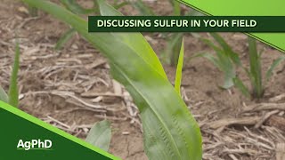 Sulfur Management on your Farm From Ag PhD 1125  102719 [upl. by Rintoul208]