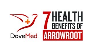 7 Health Benefits Of Arrowroot [upl. by Assirahc358]