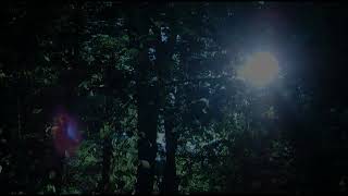 Mercury Rev  Moving On Official Video [upl. by Ateiluj]