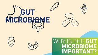 Why is the gut microbiome important [upl. by Hafeenah]