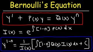 Bernoullis Equation For Differential Equations [upl. by Herzen823]