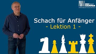 Schach für Anfänger  Lektion 1 [upl. by Yortal]