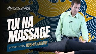 What is Tui Na Massage [upl. by Ryon]