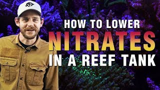 How to Lower Nitrates in a Saltwater Aquarium Proven Techniques For Success [upl. by Ocramed]