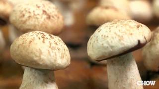 How to Make Meringue Mushrooms  CHOW Tip [upl. by Acinot]