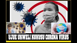 THE STORY BOOK Ukweli Muhimu Zaidi Kuhusu Corona [upl. by Jacquetta]