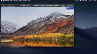 TeamViewer 14  Optimized for Best Performance in macOS Mojave [upl. by Iccir]