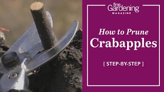 How to Prune Crabapples [upl. by Troxell618]