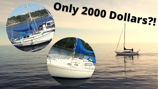 The Best Sailboat 2000 can buy [upl. by Anavahs]