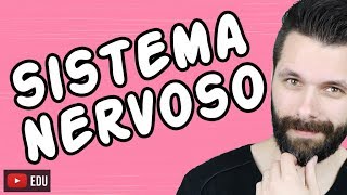 SISTEMA NERVOSO  FISIOLOGIA  Aula  Biologia com Samuel Cunha [upl. by Scales381]