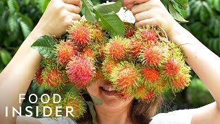 13 Extraordinary Fruits Around The World [upl. by Portland]