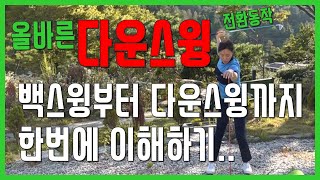 다운스윙 전환동작 팔과 골반을 제대로 이해하고 사용해야 실력이 늘어요SUB [upl. by Erinna]