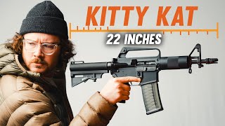 The Gun That Proves Size Really Does Matter DPMS Kitty Kat [upl. by Nannaihr]