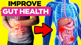 The Ultimate 4Day Gut Health Reset  Dr Steven Gundry [upl. by Sparrow]