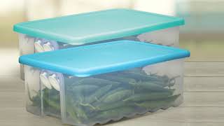 Tupperware Fridgesmart [upl. by Siddra]