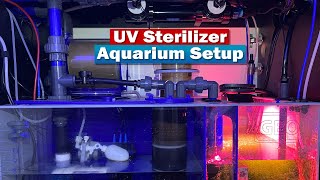 UV Sterilizer for Aquarium  Reef Tank setup [upl. by Brigham482]