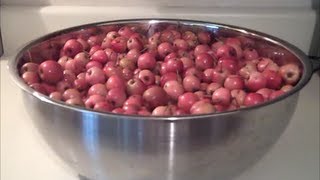 Canning Crabapple Butter Jelly and Crabapplesauce [upl. by Nylatsyrc]