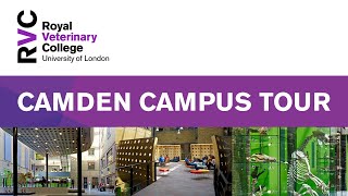 RVC Camden Campus Tour London [upl. by Kirchner]