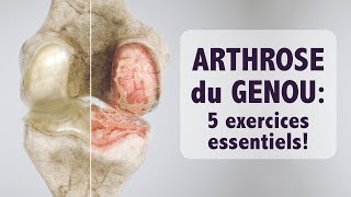 Arthrose du genou 5 exercices ESSENTIELS [upl. by Adal729]