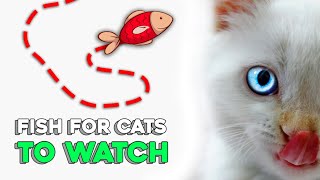 Fish for Cats to Watch new game 2020 [upl. by Trembly106]