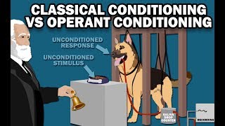 CLASSICAL VS OPERANT CONDITIONING [upl. by Hoover]