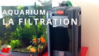 Aquarium  La filtration [upl. by Graeme546]