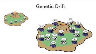 BIOL2416 Chapter 1  Introduction to Genetics [upl. by Rafter340]