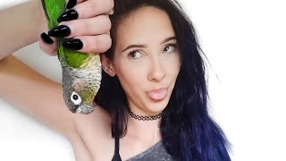 Is A Green Cheek Conure The Right Beginner Parrot For You [upl. by Assiar]