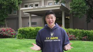 UC Davis School of Veterinary Medicine Virtual Tour [upl. by Alyacim]