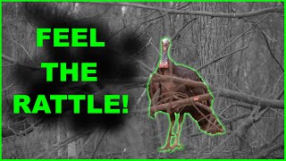 EARTH SHAKING GOBBLING ACTION  IN YOUR FACE  GREAT TURKEY AUDIO [upl. by Ahsilahs]