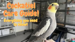 Cockatiel Care Guide  Everything You Need To Know  TheParrotTeacher [upl. by Ardnnek111]