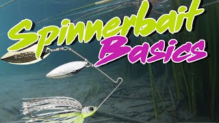 Bass Fishing Basics How To Fish A Spinnerbait [upl. by Eidnahs]