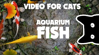 VIDEO FOR CATS ★ fish AQUARIUM 1 hour [upl. by Efal]