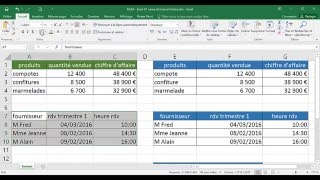 Microsoft Excel  Tri Filtre automatique et Sous totaux [upl. by Teteak]