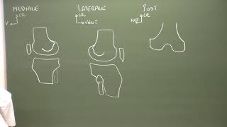 MI 2  Anatomie du genou Knee anatomy [upl. by Nileak]