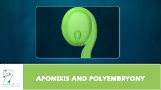 APOMIXIS AND POLYEMBRYONY [upl. by Arabelle906]