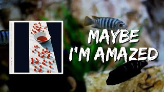 Maybe Im Amazed Lyrics by Paul McCartney [upl. by Bak]