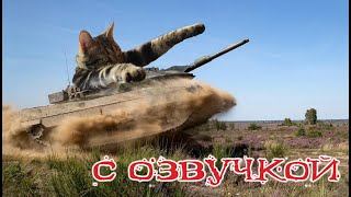 Приколы с котами КОТЫ ТАНКИСТЫ Самые смешные животные С ОЗВУЧКОЙ [upl. by Dahsraf874]